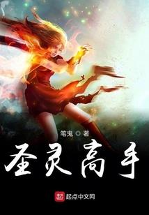 属猪男性婚配